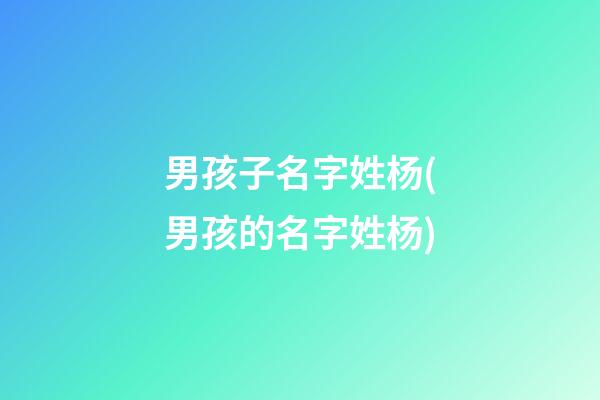 男孩子名字姓杨(男孩的名字姓杨)