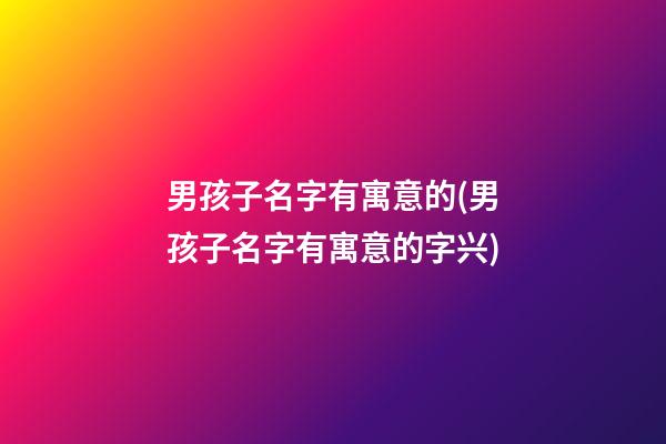 男孩子名字有寓意的(男孩子名字有寓意的字兴)