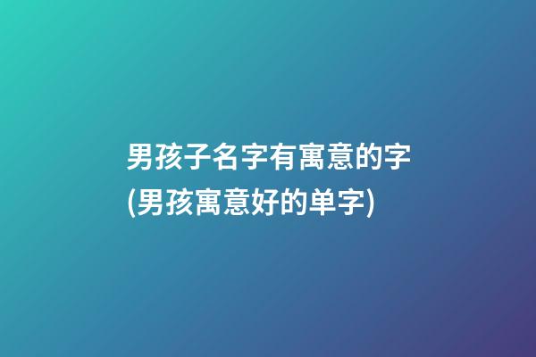 男孩子名字有寓意的字(男孩寓意好的单字)