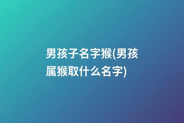 男孩子名字猴(男孩属猴取什么名字)