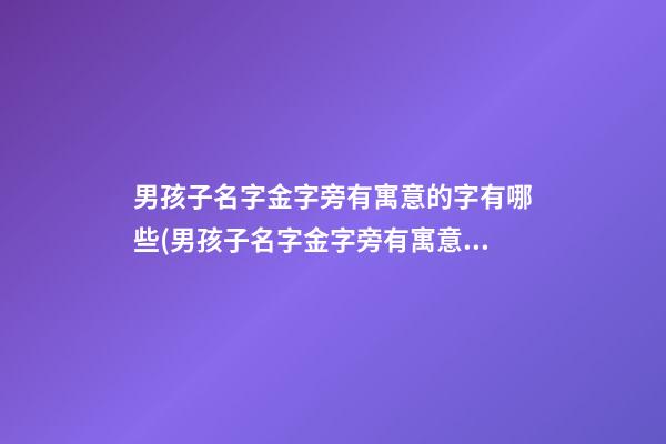 男孩子名字金字旁有寓意的字有哪些(男孩子名字金字旁有寓意的字有哪些好听)
