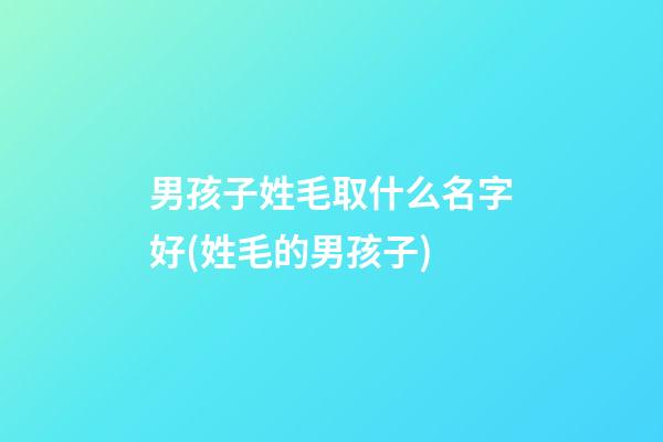 男孩子姓毛取什么名字好(姓毛的男孩子)