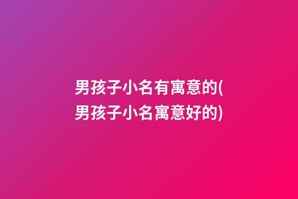 男孩子小名有寓意的(男孩子小名寓意好的)