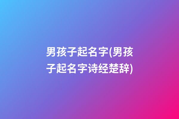 男孩子起名字(男孩子起名字诗经楚辞)