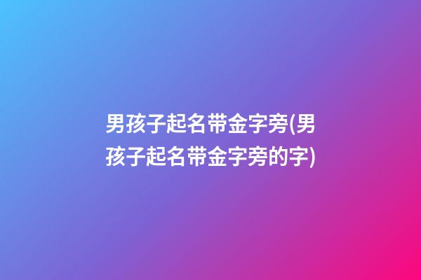 男孩子起名带金字旁(男孩子起名带金字旁的字)