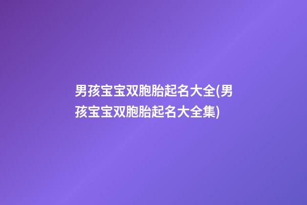男孩宝宝双胞胎起名大全(男孩宝宝双胞胎起名大全集)