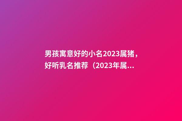 男孩寓意好的小名2023属猪，好听乳名推荐（2023年属猪男孩寓意好的乳名）