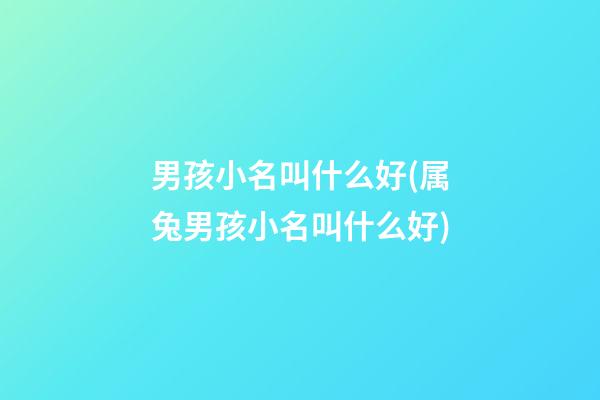 男孩小名叫什么好(属兔男孩小名叫什么好)