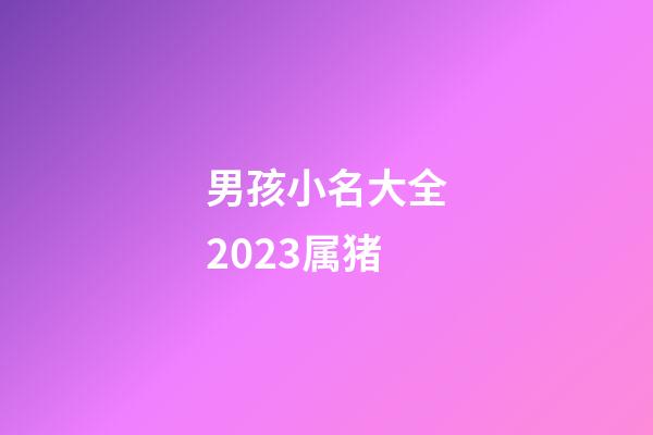 男孩小名大全2023属猪