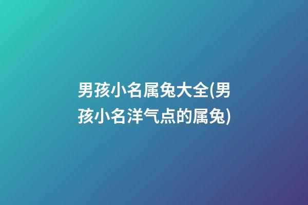 男孩小名属兔大全(男孩小名洋气点的属兔)
