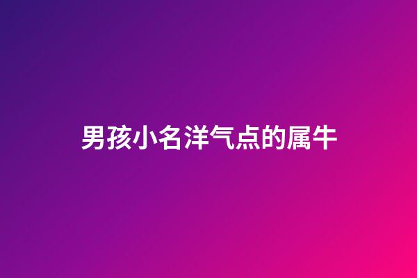 男孩小名洋气点的属牛