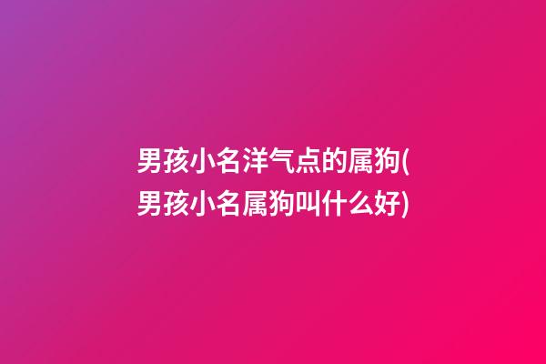 男孩小名洋气点的属狗(男孩小名属狗叫什么好)