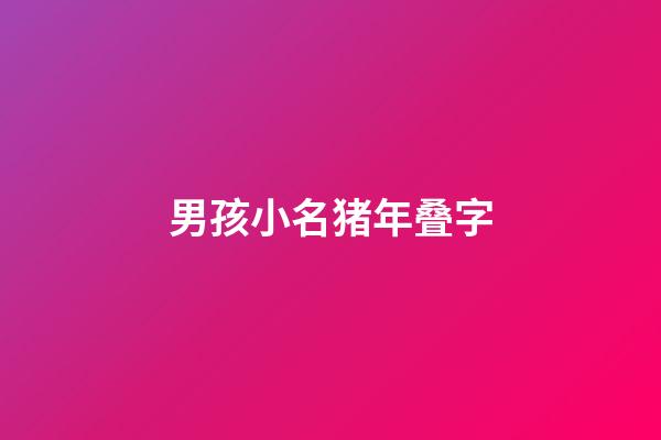 男孩小名猪年叠字