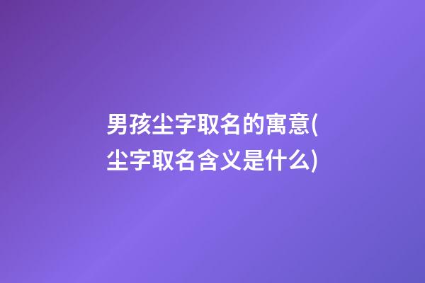 男孩尘字取名的寓意(尘字取名含义是什么)