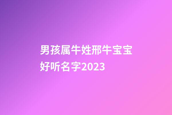 男孩属牛姓邢牛宝宝好听名字2023