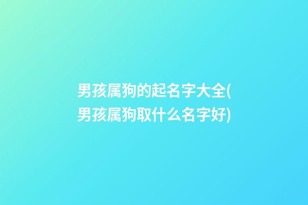 男孩属狗的起名字大全(男孩属狗取什么名字好)
