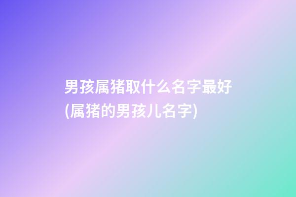 男孩属猪取什么名字最好(属猪的男孩儿名字)
