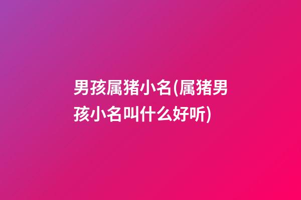 男孩属猪小名(属猪男孩小名叫什么好听)