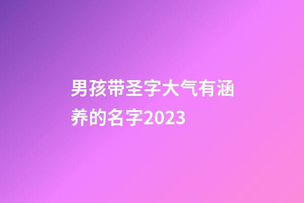 男孩带圣字大气有涵养的名字2023