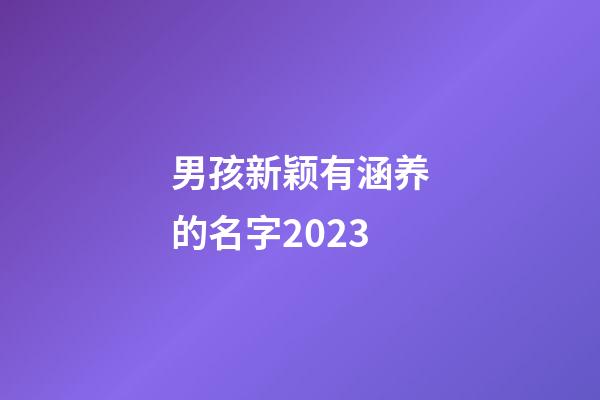 男孩新颖有涵养的名字2023