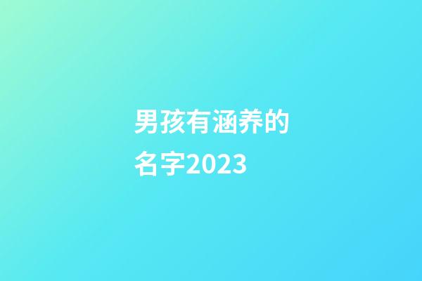 男孩有涵养的名字2023