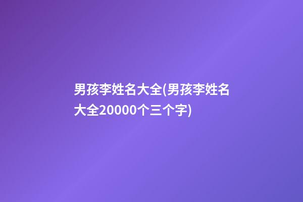 男孩李姓名大全(男孩李姓名大全20000个三个字)