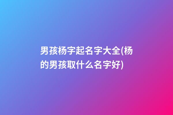 男孩杨字起名字大全(杨的男孩取什么名字好)