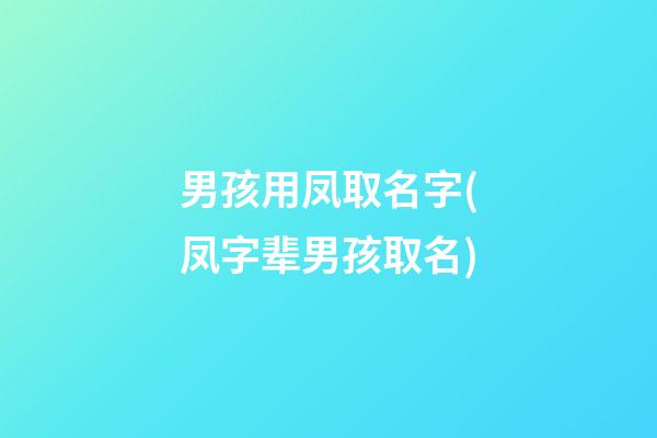男孩用凤取名字(凤字辈男孩取名)