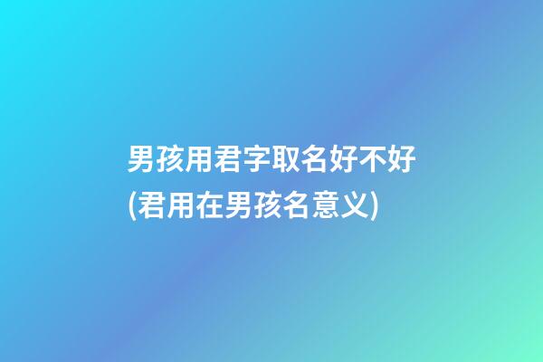 男孩用君字取名好不好(君用在男孩名意义)
