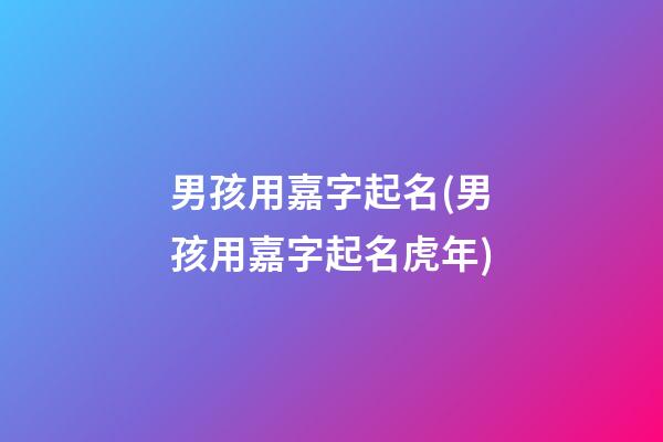 男孩用嘉字起名(男孩用嘉字起名虎年)