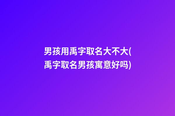 男孩用禹字取名大不大(禹字取名男孩寓意好吗)