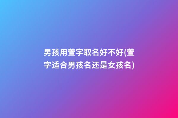 男孩用萱字取名好不好(萱字适合男孩名还是女孩名)