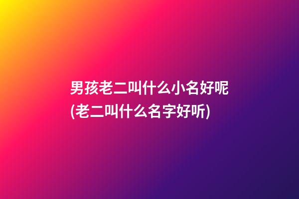 男孩老二叫什么小名好呢(老二叫什么名字好听)