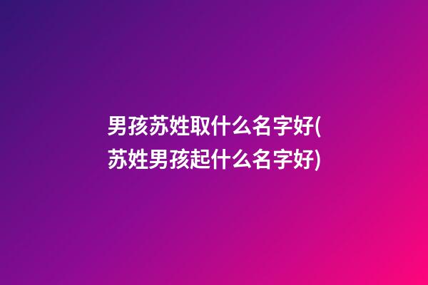 男孩苏姓取什么名字好(苏姓男孩起什么名字好)