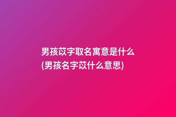 男孩苡字取名寓意是什么(男孩名字苡什么意思)