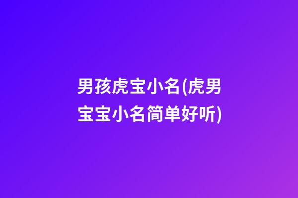 男孩虎宝小名(虎男宝宝小名简单好听)