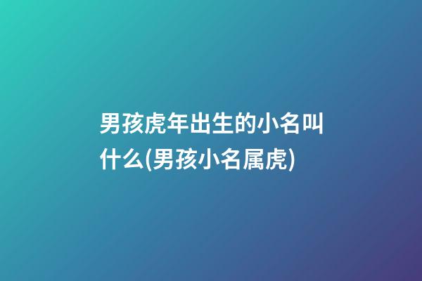 男孩虎年出生的小名叫什么(男孩小名属虎)
