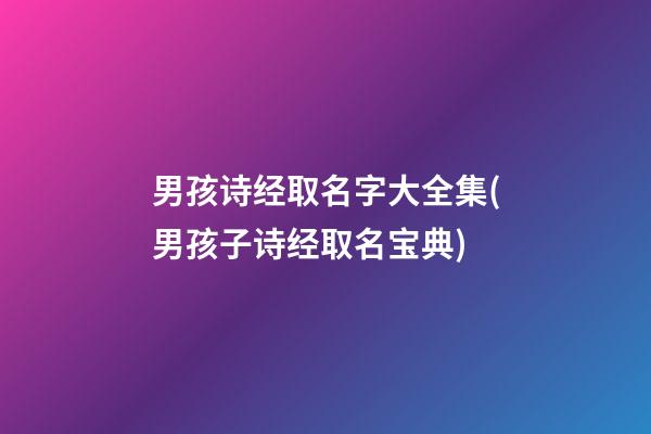 男孩诗经取名字大全集(男孩子诗经取名宝典)