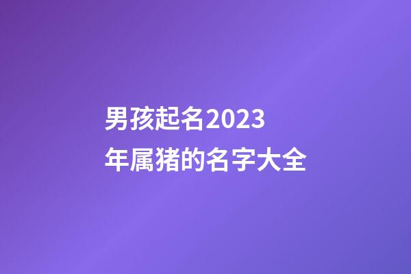 男孩起名2023年属猪的名字大全