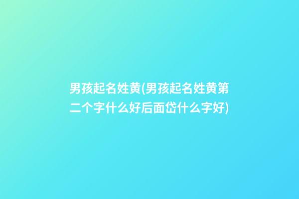 男孩起名姓黄(男孩起名姓黄第二个字什么好后面岱什么字好)
