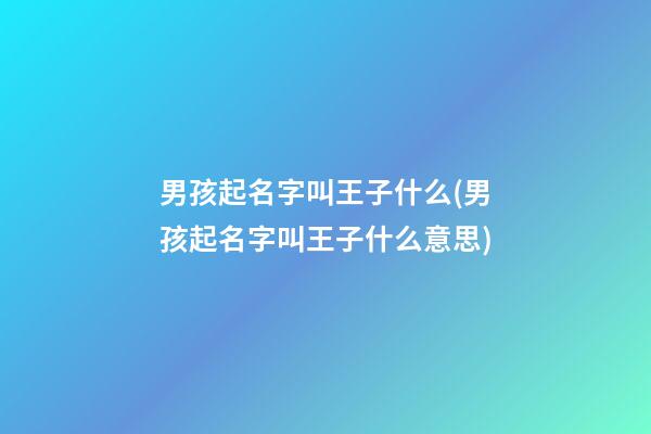 男孩起名字叫王子什么(男孩起名字叫王子什么意思)