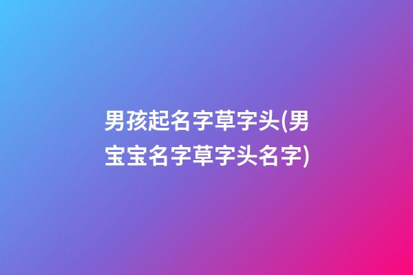 男孩起名字草字头(男宝宝名字草字头名字)