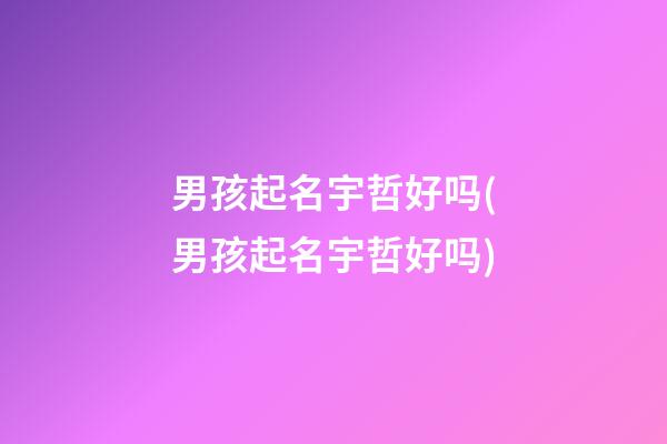 男孩起名宇哲好吗(男孩起名宇哲好吗)