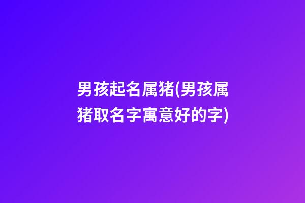 男孩起名属猪(男孩属猪取名字寓意好的字)