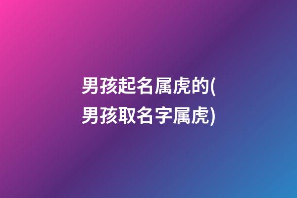 男孩起名属虎的(男孩取名字属虎)