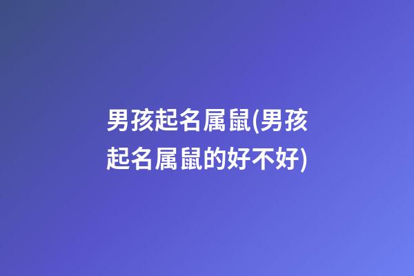 男孩起名属鼠(男孩起名属鼠的好不好)