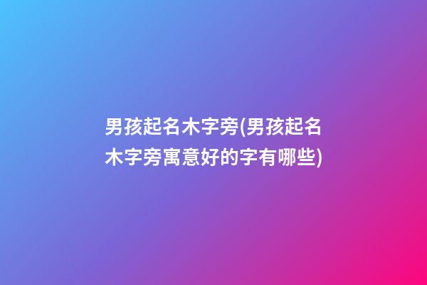 男孩起名木字旁(男孩起名木字旁寓意好的字有哪些)