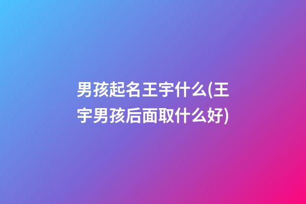 男孩起名王宇什么(王宇男孩后面取什么好)