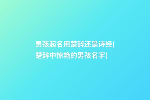 男孩起名用楚辞还是诗经(楚辞中惊艳的男孩名字)