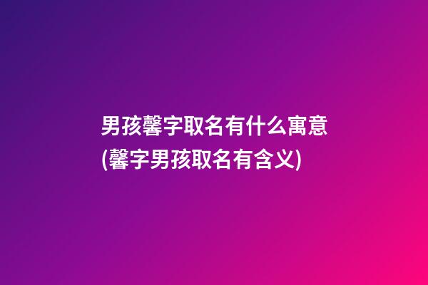 男孩馨字取名有什么寓意(馨字男孩取名有含义)